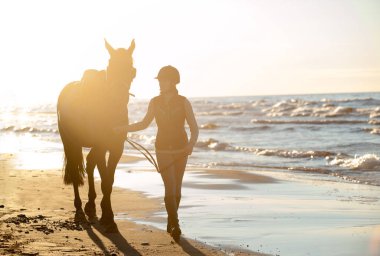 Young lady equestrian leading brown horse at seacoast in rays of sunlight. Multicolored vibrant outdoors summertime horizontal image on wavy sea background. Backlit.
