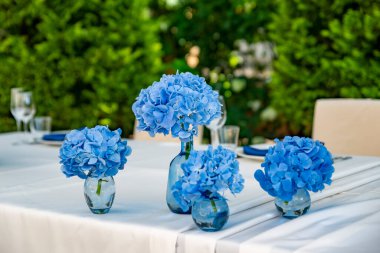 Beyaz masadaki küçük vazolarda mavi ortancalar. Düğün dekoru. Seçili odak resmi