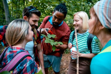 Çevreciler ormandaki yeşil yaprakları inceliyor. Sırt çantalı insanlar ormanda yürüyüş yapmaktan zevk alıyorlar. Yeşil orman yolunda yürüyüş yapmak. Ormanda yürüyen mutlu genç insanlar