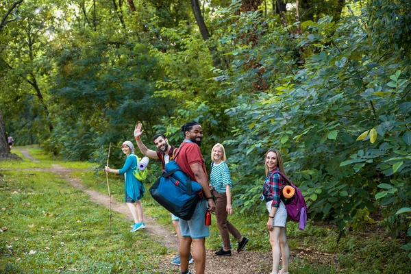 Happy Adult Multiethnic Backpacker Mensen Wandelen Het Bos Tussen Groene — Stockfoto