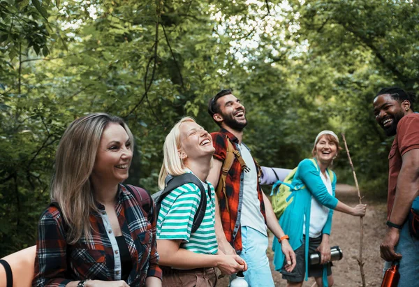 stock image Happy adult Multiethnic backpacker people walking in woods among green trees. friends in the woods. Smiling diverse friends on hiking in the forest. 