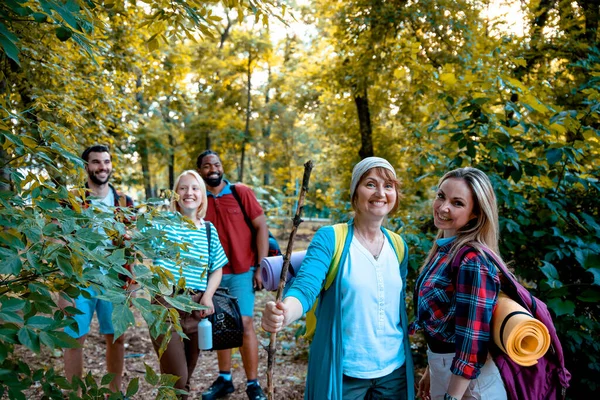 Šťastný Dospělý Multiethnic Backpacker Lidé Procházky Lese Mezi Zelenými Stromy — Stock fotografie