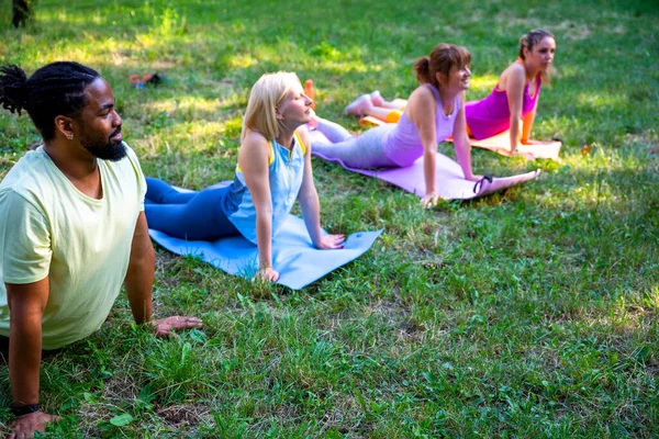 Multiethnic Friends Practicing Yoga People Trainer Doing Workout Green Grass — Stock Photo, Image