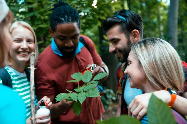 Ung Naturalist Grupp Människor Undersöker Gröna Bladen Skogen Multietniska Vänner Stockbild