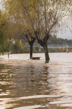 Şiddetli yağmurlarla taşan nehir yolları ve kaldırımları ağaçlar ve otlarla doldurur. Bulutlu bir sonbahar gününde büyük bir nehir.
