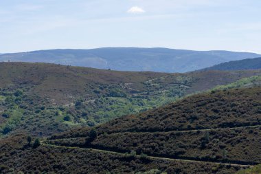 Avrupa 'da bahar doğası manzarası. Doğa, yolun kenarında. İspanya 'da tarım. Galiçya, İspanya ve Avrupa 'da yeşil doğa.