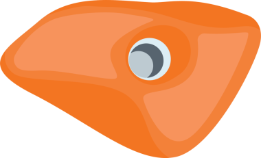 Kaya tırmanışı için kaya duvarına tutun. Tutuşlar ve atışlar ekstrem sporlar için ayarlandı.