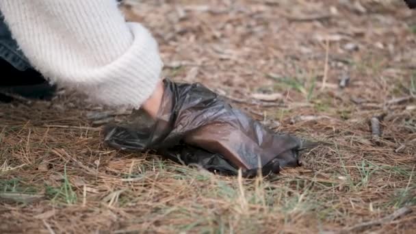 Woman Hand Collecting Dog Excrement Using Trash Bag Pet Park — Stock Video