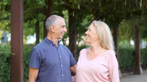 Heureux Couple Âge Mûr Regardant Regardant Caméra Sourire Dans Parc — Video