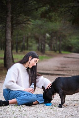 Kafkasyalı genç bir kadın Amerikan personeline su veriyor ve Fransız buldoğuyla çam ormanında melez bir köpeği karıştırıyor..