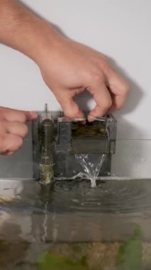 Akvaryum şelalesi filtresini sökerek temizleyen bir eli kapat. Akvaryum bakımı.