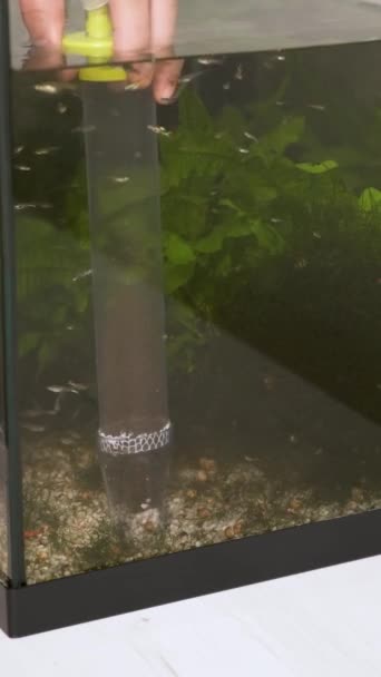 Nahaufnahme Einer Hand Die Wasser Abpumpt Das Substrat Einem Fischbecken — Stockvideo