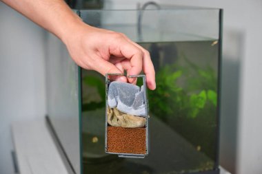 Temizledikten sonra bir akvaryum şelalesi filtresi tutan eli kapat. Akvaryum bakımı.