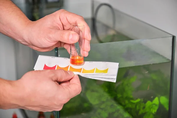Handen Houden Hoge Nitriet Ammoniak Test Voorkant Van Zoetwater Aquarium — Stockfoto