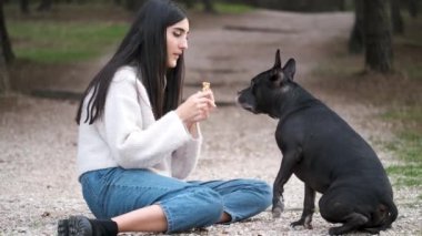 Genç beyaz kadın, Amerikan personeli ve Fransız bulldog 'unu eğitiyor. Karışık köpekleri pençelerini sallıyor, uzanıyor ve atlıyor. Çam ormanında oturuyor..