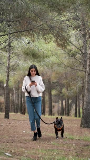 Joven Mujer Caucásica Paseando Staffordshire Americano Bulldog Francés Perro Raza — Vídeo de stock