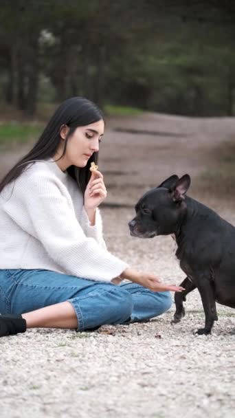 年轻的高加索女人坐在松林边 训练她的美国宠物狗和法国斗牛犬混养狗坐着 伸出爪子 躺下跳着 — 图库视频影像