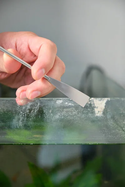 Close up of a hand cleaning lime scale in a fish tank. Aquarium maintenance.