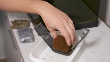 Temizledikten sonra bir akvaryum şelalesi filtresi oluşturan eli kapat. Akvaryum bakımı.