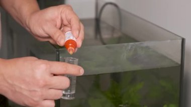 Tatlı su akvaryumunun önündeki PH testine damlalar ekleyerek ellerinizi kapatın. Akvaryum bakımı.