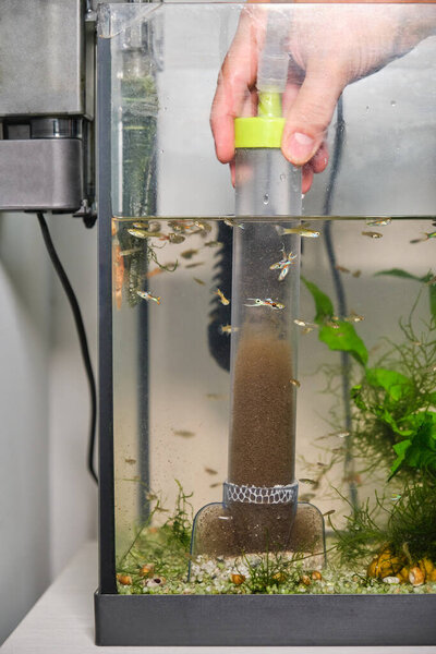 Закройте руку, откачивая воду, чтобы очистить субстрат в аквариуме. Техническое обслуживание аквариума.