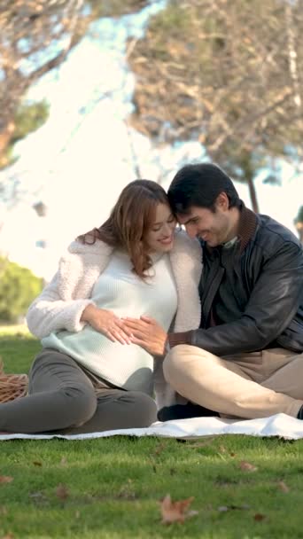 Чоловік Вагітна Жінка Цілуються Дивляться Живіт Пікнік Парку Сім — стокове відео