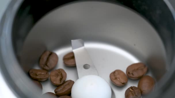 Pouring Coffee Beans Grinder Prepare Coffee — Video