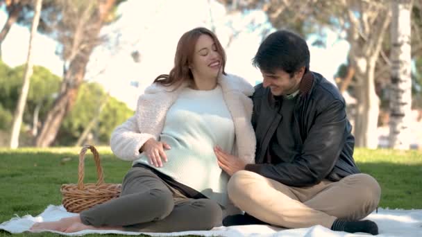 Man Pregnant Woman Looking Belly Picnic Dog Park Family — Stockvideo
