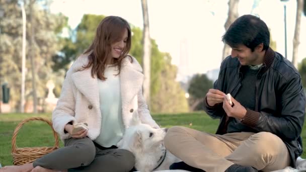 Молодая Пара Ест Сэндвич Пикнике Парке Своей Собакой — стоковое видео
