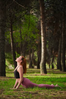 Kızıl saçlı genç kadın ormanda köpek yogası pozu veriyor. Doğada yoga pratiği..