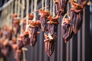 Kurutulmuş Hachiya Persimmon, hoshigaki, Japonya 'nın Hida, Gifu kasabasındaki bir Japon caddesinde asılı duruyor..