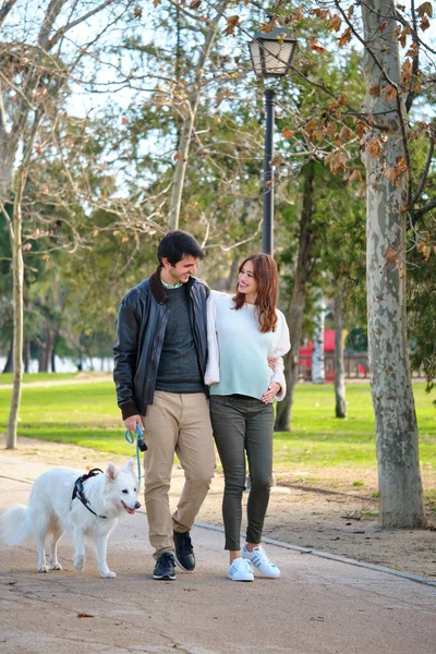 Férfi Terhes Sétálnak Kutyájukkal Parkban Család — Stock Fotó