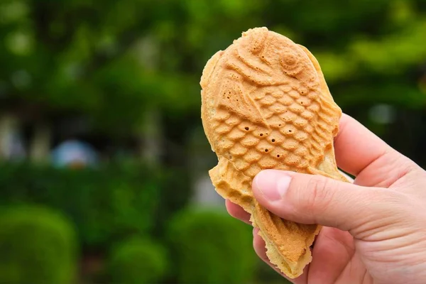 Hand holding a Taiyaki, japanese fish-shaped waffle filled with sweetened red bean paste in Kyoto, Japan.
