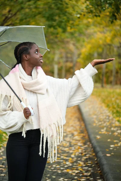 Африканська Молода Жінка Перевіряє Падає Дощ Відкритою Парасолькою Восени — стокове фото