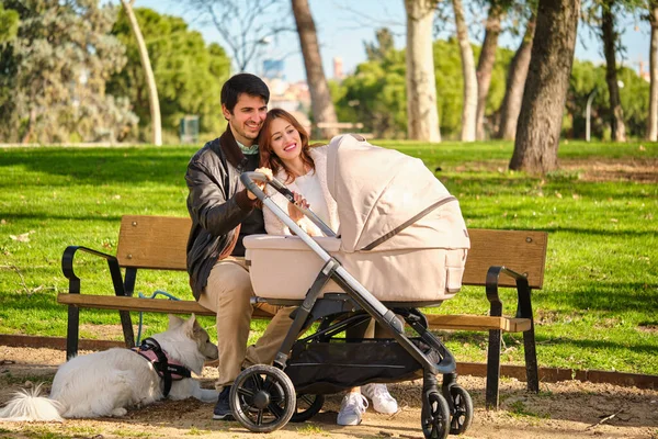 Пара Смотрящая Своего Ребенка Детской Коляске Собакой Сидящей Скамейке Парке — стоковое фото