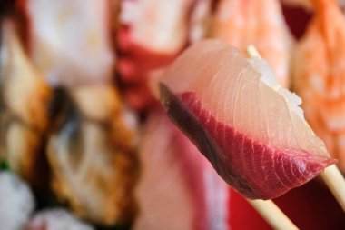Sarı kuyruklu nigiri karides, ahtapot, yılan balığı, ton balığı ve maki içeren çeşitli Japon suşileri..