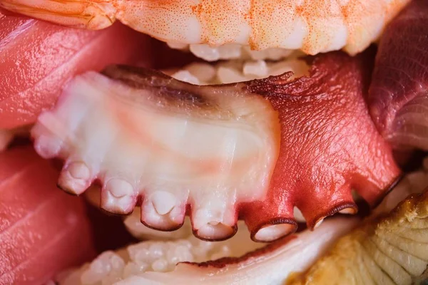 Octopus Nigiri Una Selección Sushi Japonés Variado Con Gambas Atún — Foto de Stock