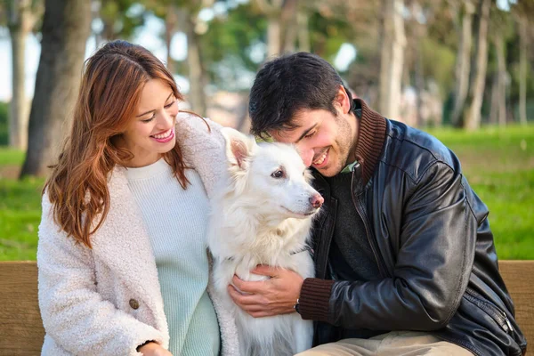 Young caucasian couple petting their dog sitting on a bench in a park. Family.