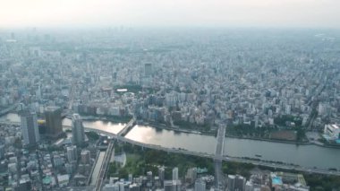 Tokyo şehri Japonya 'daki Tokyo Skytree' den görünüyor..