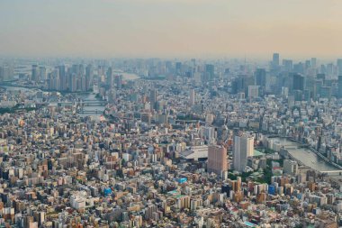 Tokyo şehri Japonya 'daki Tokyo Skytree' den görünüyor..