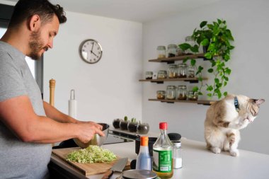 Sahibi mutfakta lahana pişirirken tekir kedisi patisini yalıyor. Vejetaryen kedi.