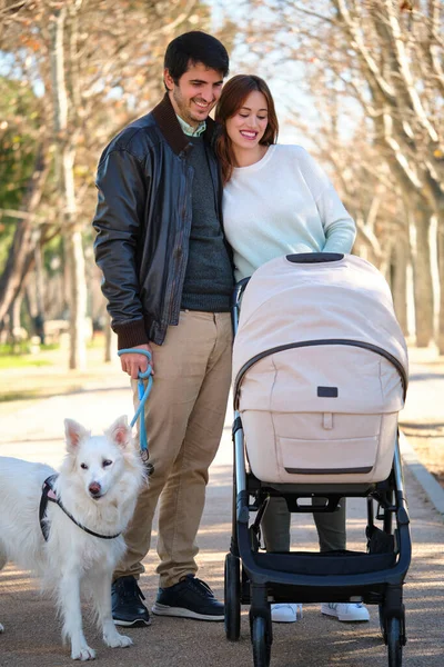 Couple looking at their baby in a baby stroller while walking with their dog in a park.