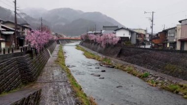 Japonya 'da Furukawa, Hida, Gifu' da Sakura çiçekleri yağışlı bir günde Kasumi Köprüsü 'nden Araki Nehri ve Imamiya Köprüsü manzarası. Nisan 2023.