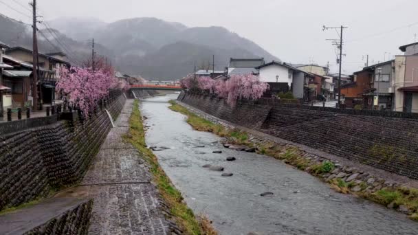 Fiume Araki Imamiya Vista Ponte Kasumi Bridge Una Giornata Piovosa — Video Stock