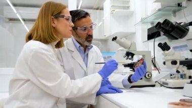 İki araştırmacı bir eczane laboratuvarında Petri kabında mikro organizmaları inceliyor. Bilimsel araştırma.