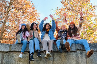 Başarıyı kutlayan ve birlikte eğlenen farklı arkadaşlar. Neşeli bir grup mutlu insan kollarını kaldırıp bağırıyor. Evet, yaşasın!.