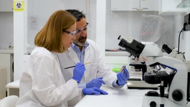 Δύο Επιστήμονες Εξετάζουν Βακτηριακές Καλλιέργειες Ένα Κόκκινο Τρυβλίο Petri Επιστημονική — Αρχείο Βίντεο