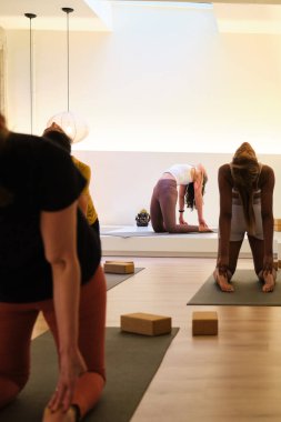 Bir grup insan bir odada ustrasana ya da deve yogası pozu çalışıyor. Yoga sınıfı..