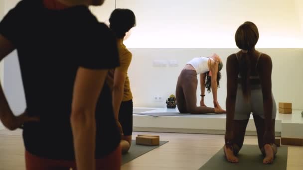 Een Groep Mensen Oefent Ustrasana Kameel Yoga Pose Een Kamer — Stockvideo