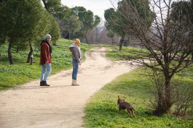 Kış kıyafetleri giymiş genç bir çift güneşli bir kış gününde parkta koşan bir köpeğe bakıyor.